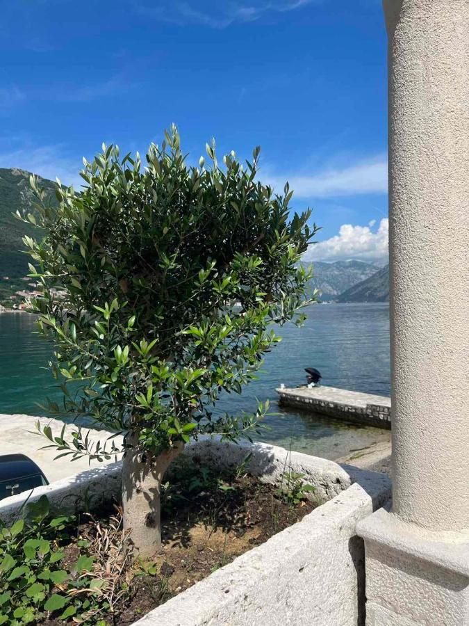 Sea Front 171 Lejlighed Kotor Eksteriør billede